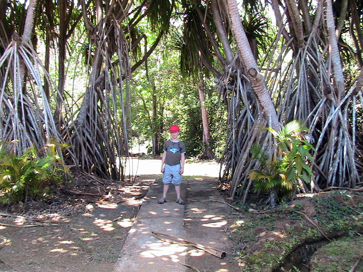 28 - Jardin des eaux 002.jpg